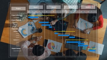 Project Management Professional (PMP®) (SFw)